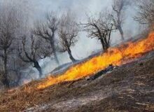 شناسایی ده منطقه مستعد حریق مراتع درشهرستان مشهد