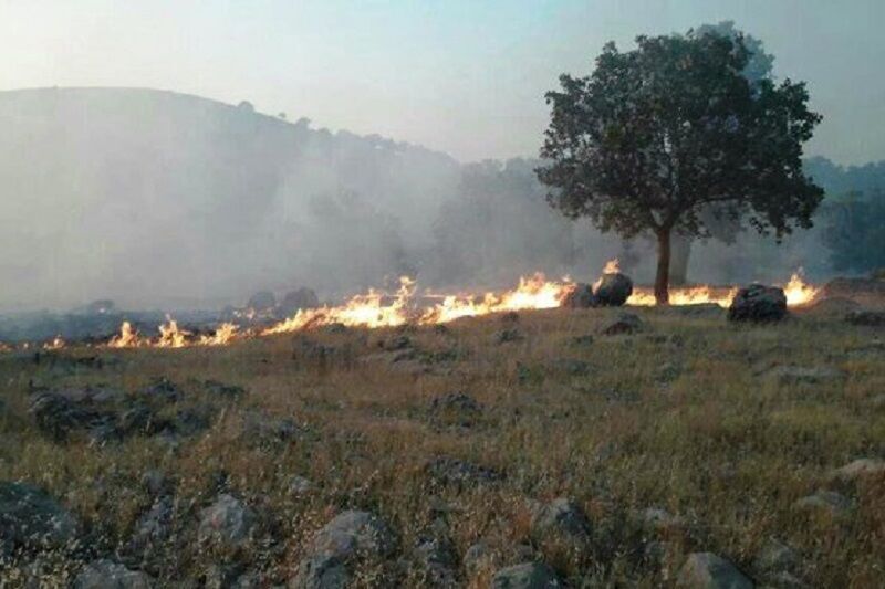 آتش سوزی باغستان باورس مهار شد