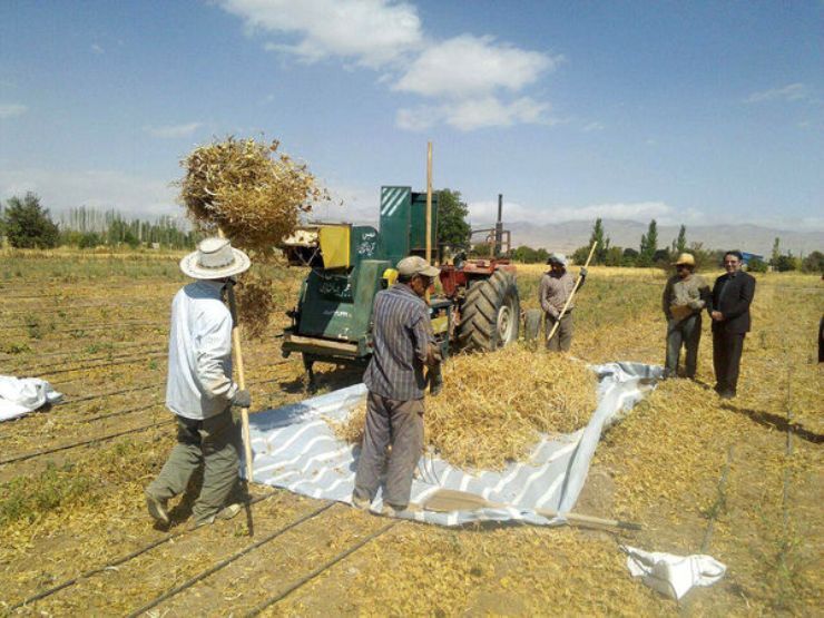 تعهد ۱۰۰ درصدی اشتغال در حوزه کشاورزی خراسان رضوی