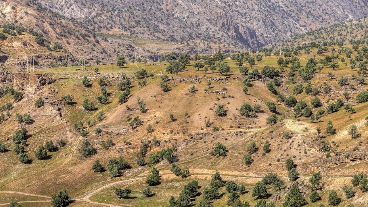 ساماندهی ۱۷ ذخیرگاه جنگلی در قزوین