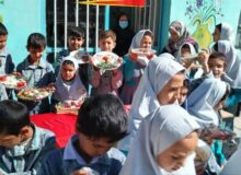 برگزاری جشنواره «غذا با تخم مرغ» در روستای نوری تربت حیدریه