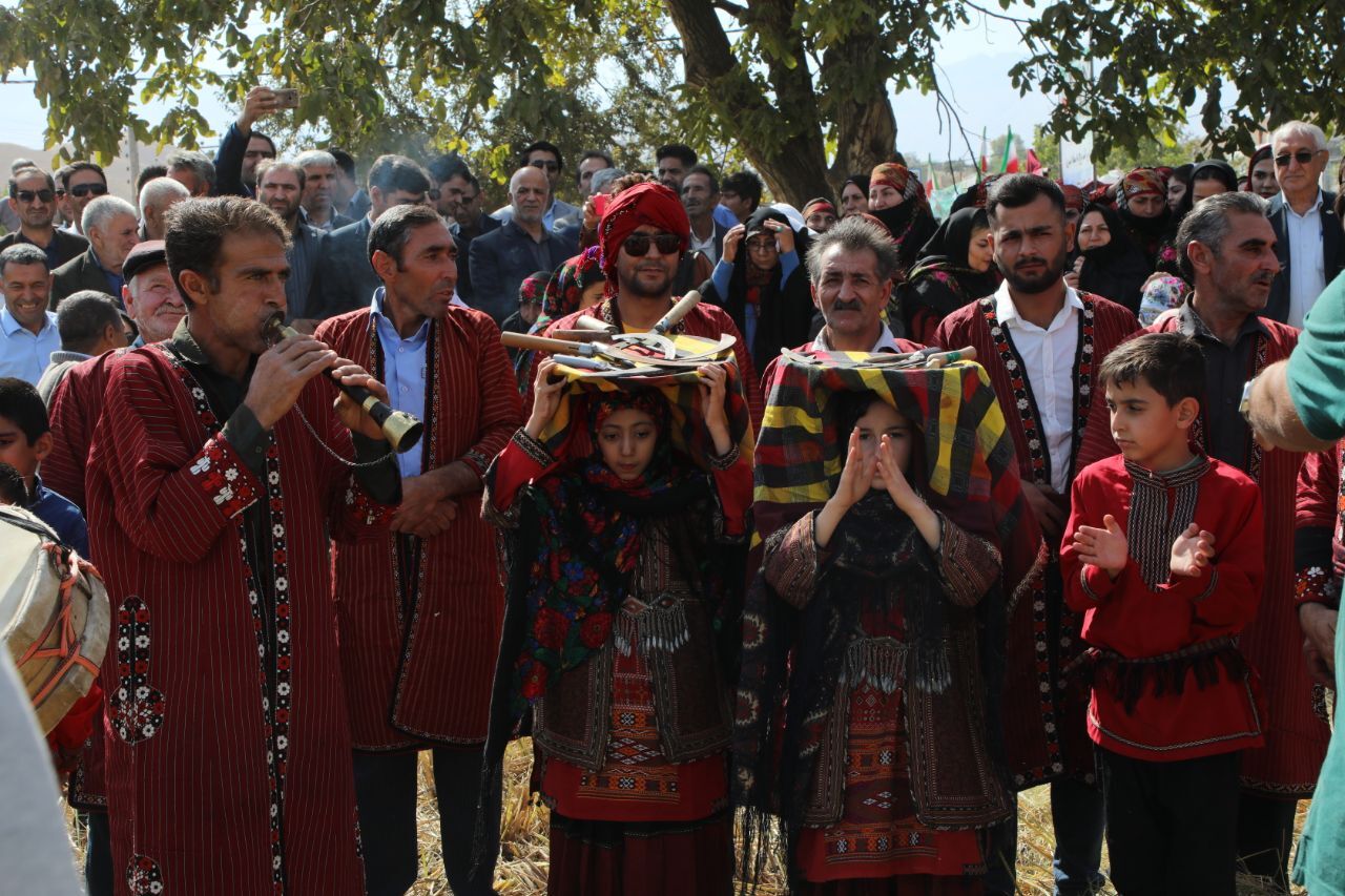 برگزاری نخستین جشنواره برداشت برنج دم‌سیاه هزار مسجد در کلات