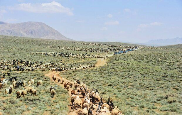 بهبود معیشت دامداران بردسکنی با تهیه طرح‌ های مرتع‌ داری