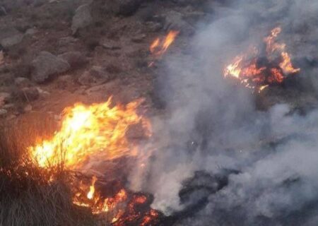 حریق در اراضی مرتعی روستای دشتاب طعمه شهرستان باخرز