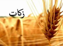 پرداخت ۳۵۶ میلیارد ریال زکات در استان قزوین