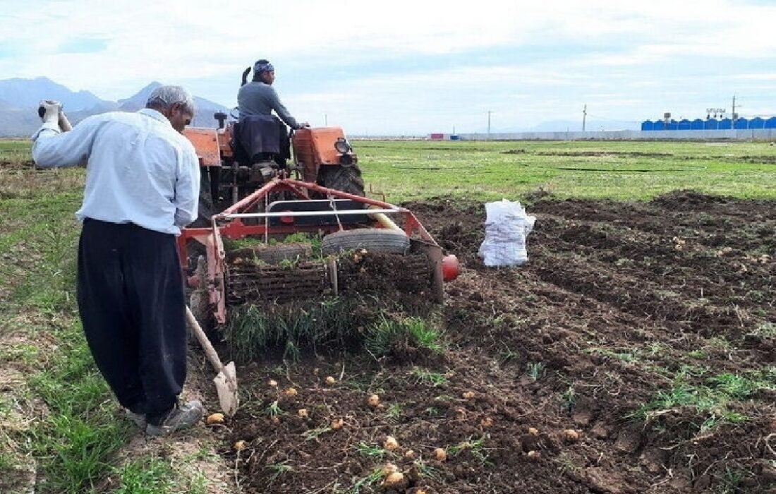 سرشماری ۴۵ درصد از بهره برداران کشاورزی قزوین