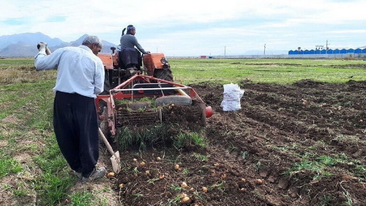 سرشماری ۴۵ درصد از بهره برداران کشاورزی قزوین